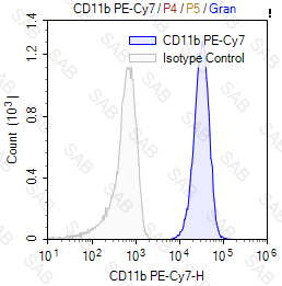 PE-Cy7 anti-human/mouse CD11b