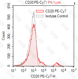 PE-Cy7 anti-human CD20