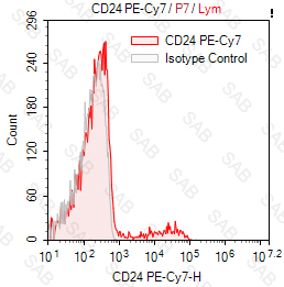 PE-Cy7 anti-human CD24