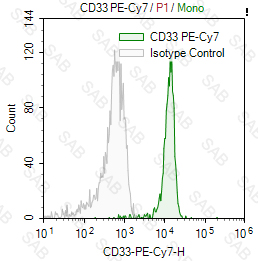 PE-Cy7 anti-human CD33