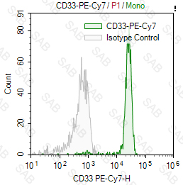 PE-Cy7 anti-human CD33