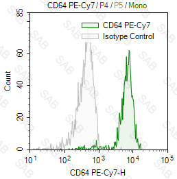 PE-Cy7 anti-human CD64