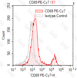 PE-Cy7 anti-human CD69