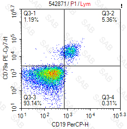 PE-Cy7 anti-human CD79a