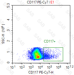 PE-Cy7 anti-human CD117