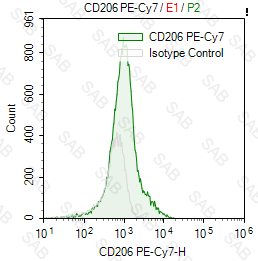 PE-Cy7 anti-human CD206