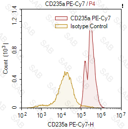 PE-Cy7 anti-human CD235a