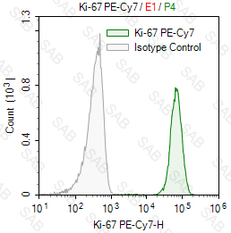 PE-Cy7 anti-human Ki-67