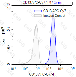 APC-Cy7 anti-human CD13