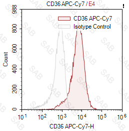 APC-Cy7 anti-human CD36