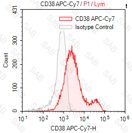 APC-Cy7 anti-human CD38