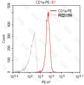 PE anti-human CD1a