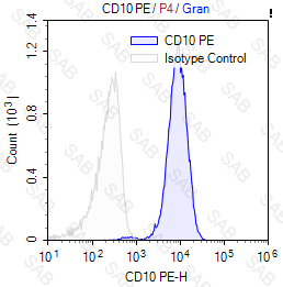 PE anti-human CD10