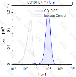 PE anti-human CD10