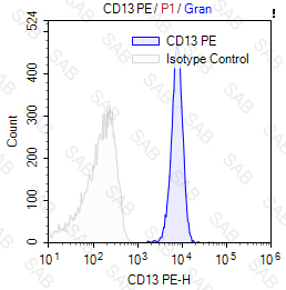 PE anti-human CD13