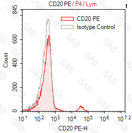 PE anti-human CD20