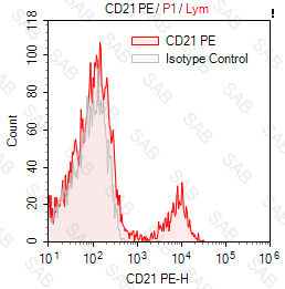 PE anti-human CD21