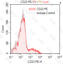 PE anti-human CD23