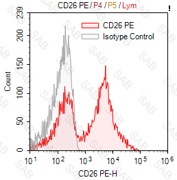 PE anti-human CD26