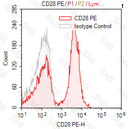 PE anti-human CD28