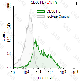 PE anti-human CD30