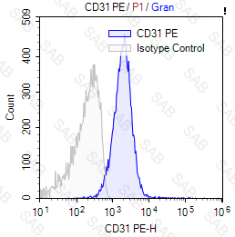 PE anti-human CD31