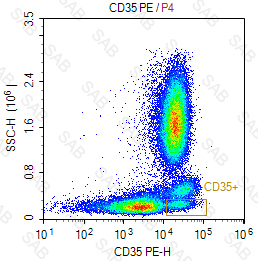 PE anti-human CD35