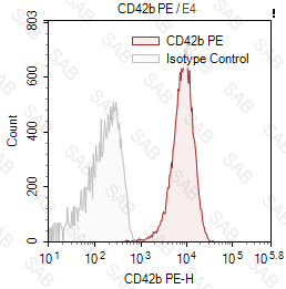 PE anti-human CD42b