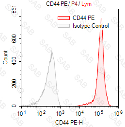 PE anti-human CD44