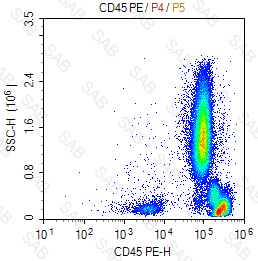 PE anti-human CD45