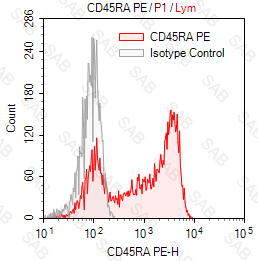 PE anti-human CD45RA