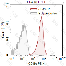 PE anti-human CD49b