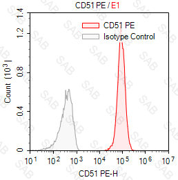 PE anti-human CD51