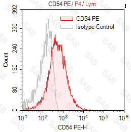 PE anti-human CD54