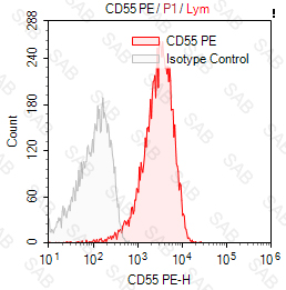 PE anti-human CD55