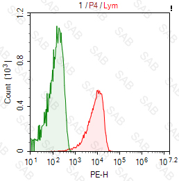 PE anti-human CD55