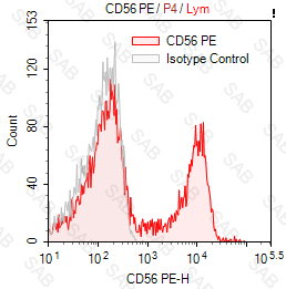 PE anti-human CD56