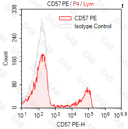 PE anti-human CD57