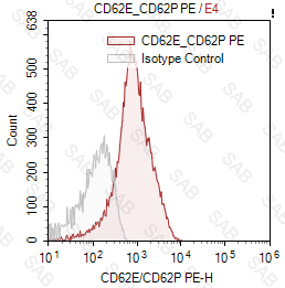 PE anti-human/pig CD62E/CD62P
