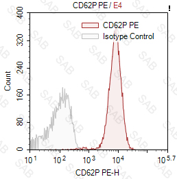 PE anti-human CD62P