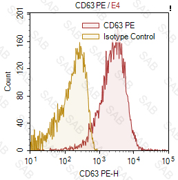 PE anti-human CD63