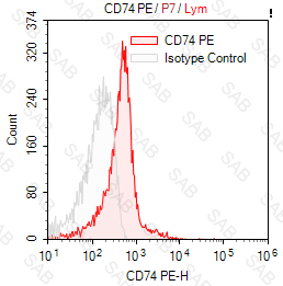 PE anti-human CD74