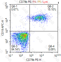 PE anti-human CD79b