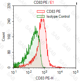 PE anti-human CD83