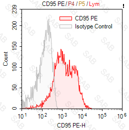 PE anti-human CD95