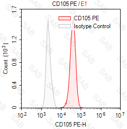 PE anti-human CD105