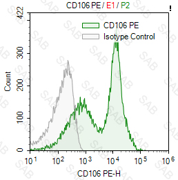 PE anti-human CD106