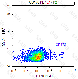 PE anti-human CD178