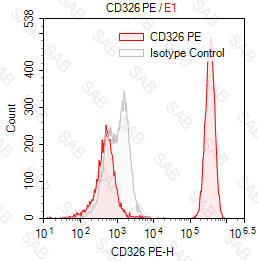 PE anti-human CD326