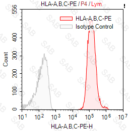 PE anti-human HLA-A，B，C（HLA Class I）